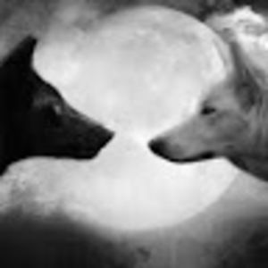 Meet your Posher, Jeannie